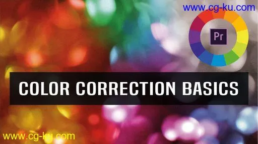 Color Correction & Color Grading Basics in Premiere Pro CC 2020的图片2