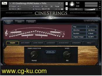 Cinesamples CineStrings RUNS v1.31 KONTAKT的图片2