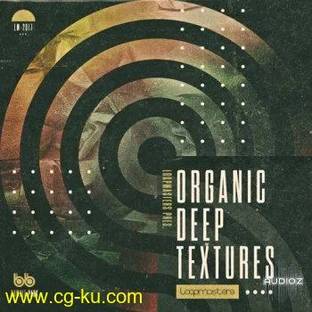 Loopmasters Organic Deep Textures WAV REX的图片1