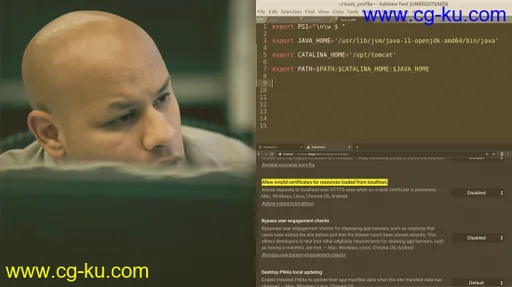 Tomcat for Java Development的图片1