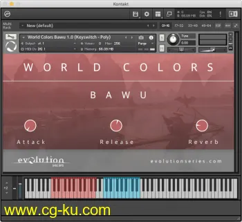 Evolution Series World Colors Bawu v1.0 KONTAKT的图片1