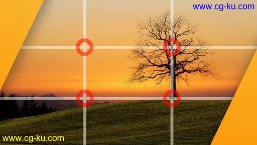 Beginner Photography Composition Course的图片1