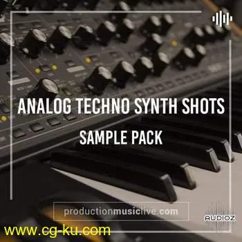 PML – Analog Techno Synth Shots – WAV的图片1