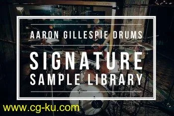 Aaron Gillespie Drums Signature Sample Library WAV NBKT EXS TCI的图片1