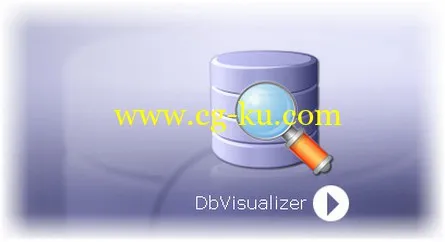 DbVisualizer 9.1.6 Win/Mac/Linux的图片1