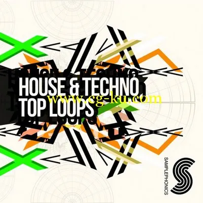 Samplephonics – House and Techno Top Loops (WAV, REX2, AIFF)的图片1
