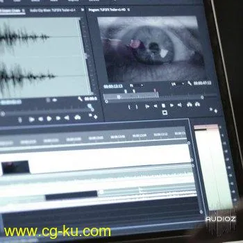 789TEN The Ultimate Filmmakers SFX Bundle的图片1