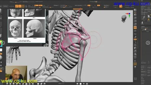 Artstation – Female anatomy for artists course的图片1