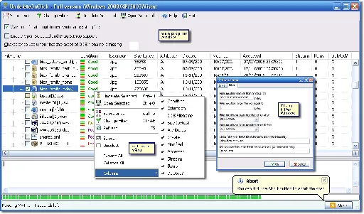 2BrightSparks UndeleteOnClick 1.7.0.0的图片1