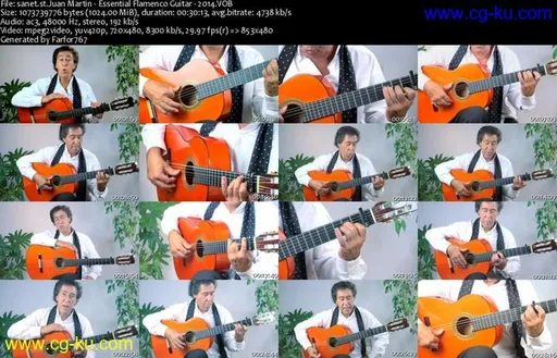 Essential Flamenco Guitar Vol 1的图片1