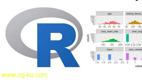 R Programming for Data Science for Absolute Beginners [2020]的图片1