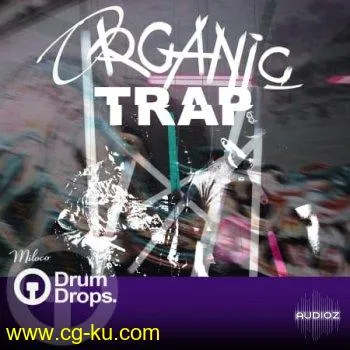 Drumdrops Organic Trap WAV-FLARE的图片1