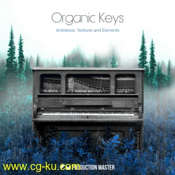 Production Master Organic Keys WAV-DISCOVER的图片1