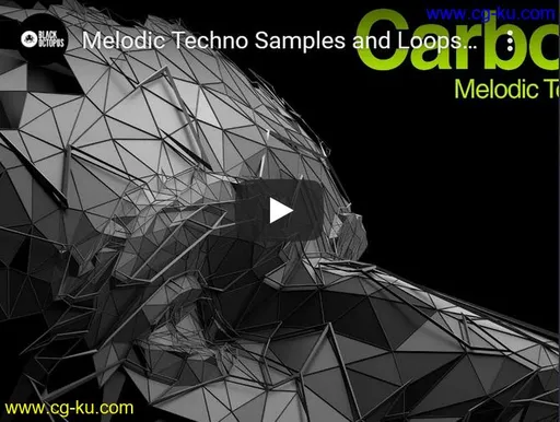 Production Master Carbon (Melodic Techno) WAV-DISCOVER的图片1