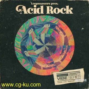 Loopmasters VIBES Vol 8 Acid Rock WAV REX的图片1