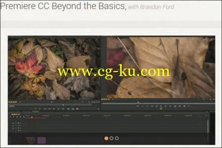 Premiere CC Beyond the Basics with Brandon Ford的图片1