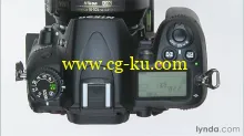 Shooting with the Nikon D7000的图片2