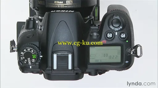 Shooting with the Nikon D7000的图片4