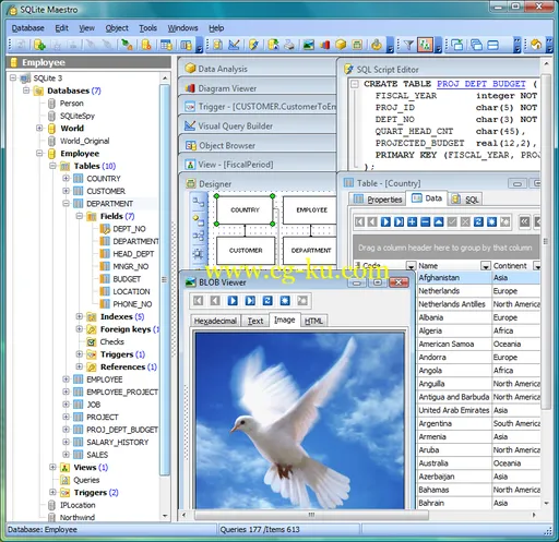 SQL Maestro Group SQLite Maestro 16.11.0.5的图片1
