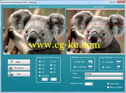 Abonsoft Big Image Printer 1.0.130323的图片1
