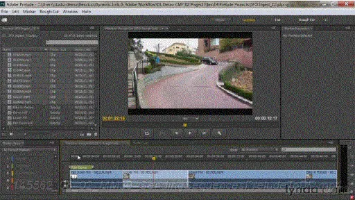 Premiere Pro Guru: Dynamic Link and the Adobe Workflow的图片1