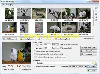 SoftOrbits Batch Picture Resizer 6.2 Multilingual 图片批量调整工具的图片1
