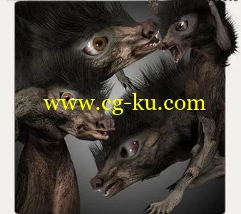 Content Paradise 3D Collection的图片1