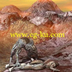 Content Paradise 3D Collection的图片2