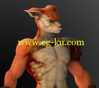 Content Paradise 3D Collection的图片3