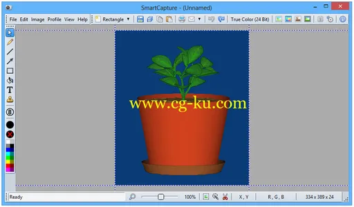 DeskSoft SmartCapture 3.12.0的图片1