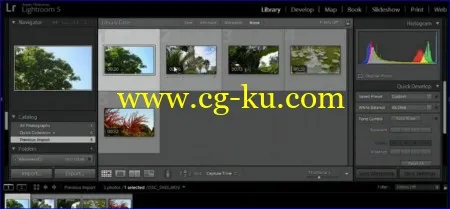 Working with Video in Lightroom with Richard Harrington的图片1