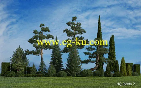 3DMentor – HQ Plants 2 高精度树木植物3D模型的图片1