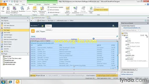 SharePoint Designer 2010: Creating Data-Driven Web Pages的图片4