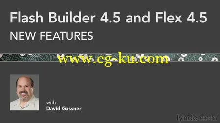 Flash Builder 4.5 and Flex 4.5 New Features (Repost)的图片2