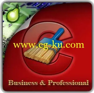 CCleaner Professional / Business Edition 4.03.4151 多国语言含中文的图片1