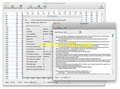 Peep 2.3.3 MacOSX的图片1