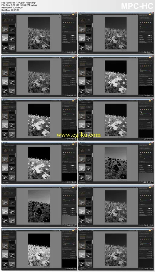 Lynda – Learning Silver Efex Pro 2的图片2