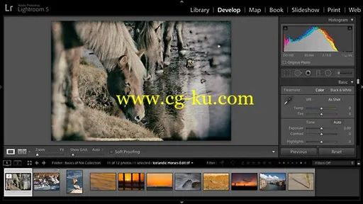 Lynda – Basics of Using the Nik Collection的图片1