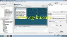 Flash Builder 4 and Flex 4 Essential Training的图片3