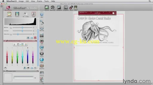 Scanning with SilverFast的图片2