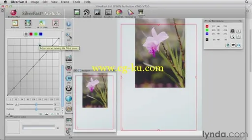 Scanning with SilverFast的图片3