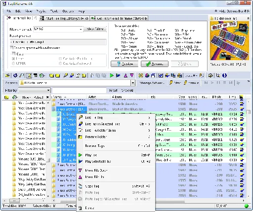 Tag and Rename 3.9.9 Multilingual的图片1