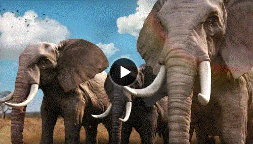 Sculpting a Realistic Elephant in ZBrush的图片1