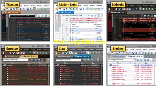 IDM UltraCompare Professional 14.0.0.1001的图片4