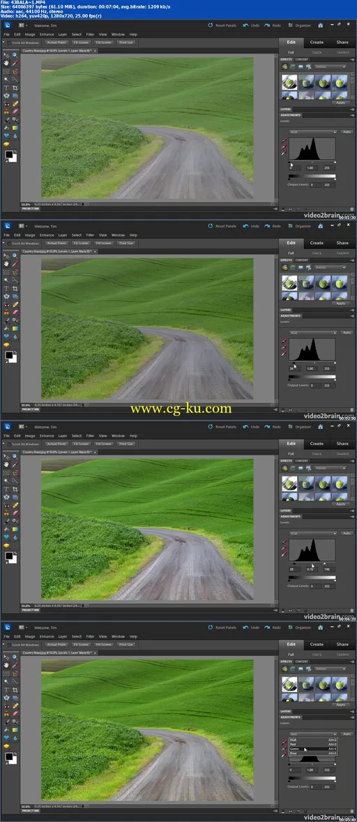 Peachpit Press – Adobe Photoshop Elements 10: Learn by Video的图片1