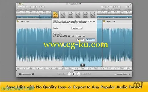 Fission v2.1.3 MacOSX 音频优化编辑器的图片1