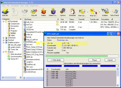 Internet Download Manager v6.17.1 下载工具的图片2