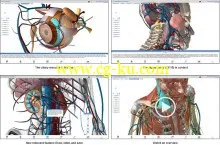 Visible Body Human Anatomy Atlas V2014的图片2