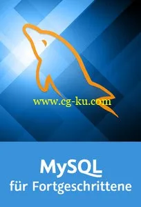 MySQL für Fortgeschrittene Storage Engines, Stored Procedures, Performance-Optimierung的图片2