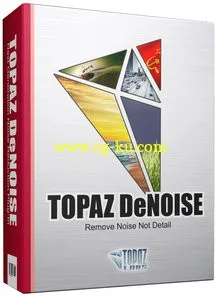 Topaz DeNoise 5.0.1 Plug-in for Photoshop PS降噪磨皮滤镜的图片1
